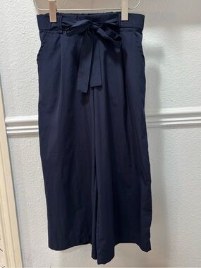 Zara Navy Wide-Leg Cropped Pants